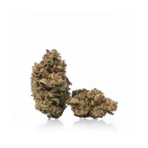 Buy Animal Cookies Strain in Australia