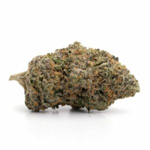 Buy Cali Bubba Infested Herb Strain in Australia