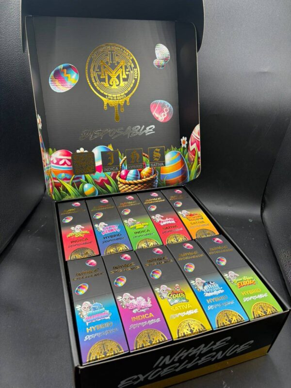 Muha Meds 2G Disposable EASTER Wholesale Edition – 100 Units per Box - Muha Meds USA