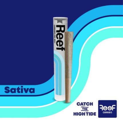 Blueberry Diesel 1g Pre-Roll