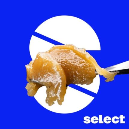 Zesty Garlic Cookies 1g Live Rosin