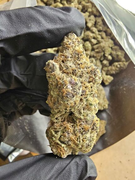 CUSTOM FLOWER ORDER | BOUTIQUE EXOTIC | 7g packs