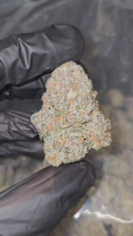 Sour Cookie Crunch | First Cut Exclusive | Flower | ON SALE | 7g packs